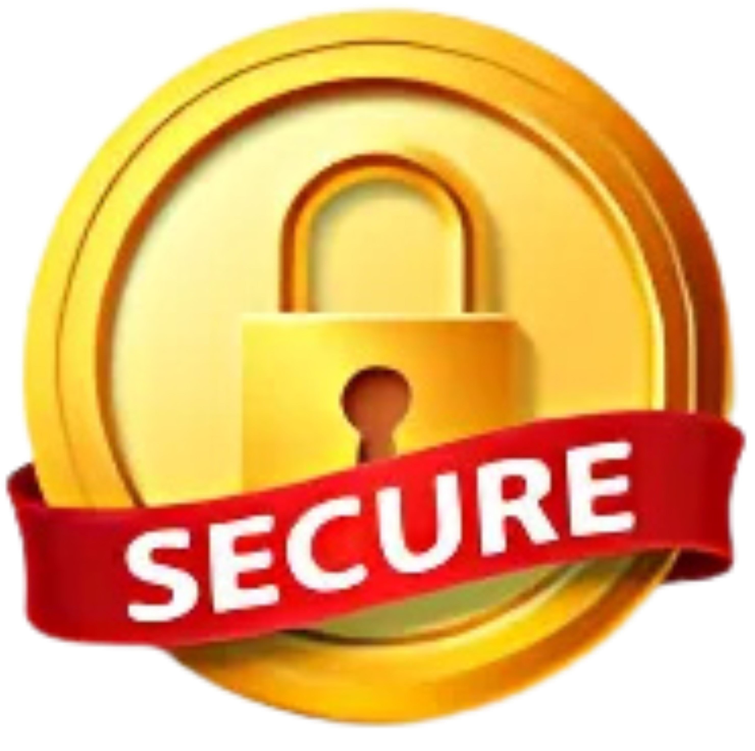 Secure Payment icon